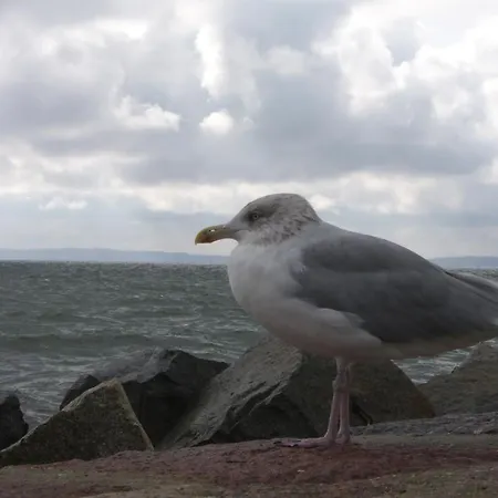 Fuerstenhof - 306 Victoria Apartman Sassnitz